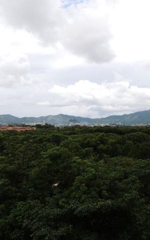 Apartamento para alugar com 143m², 3 quartos e 2 vagasVista