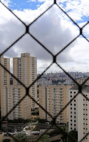 Apartamento para alugar com 57m², 2 quartos e 1 vagaVista do Quarto 1