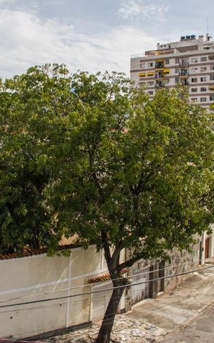 Apartamento para alugar com 80m², 2 quartos e sem vagaVista