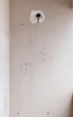 Apartamento para alugar com 58m², 2 quartos e 1 vaga Apartamento para alugar com 58m², 2 quartos e 1 vagaVaranda da Sala