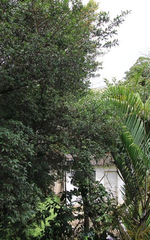 Apartamento para alugar com 52m², 2 quartos e 1 vagaVista