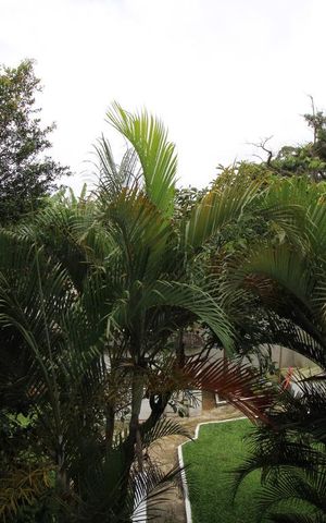 Apartamento para alugar com 52m², 2 quartos e 1 vagaVista