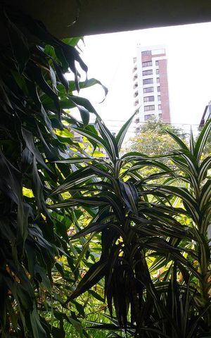 Casa para alugar com 238m², 4 quartos e 2 vagasEscritório - Vista