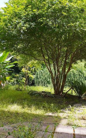 Casa para alugar com 238m², 4 quartos e 2 vagasPátio Fundos