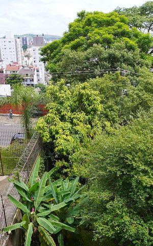 Casa para alugar com 238m², 4 quartos e 2 vagasQuarto 4 - Vista
