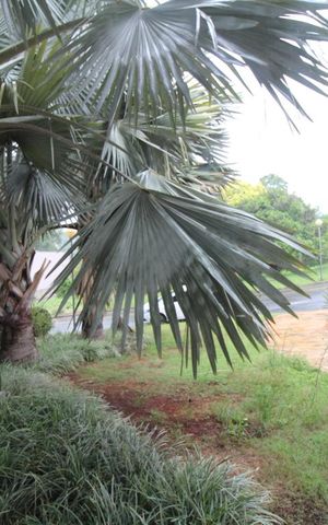 Casa de condomínio à venda com 407m², 4 quartos e sem vagaVista da Sala de estar