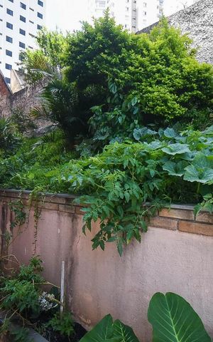 Apartamento à venda com 60m², 2 quartos e 1 vaga Apartamento à venda com 60m², 2 quartos e 1 vagaHorta