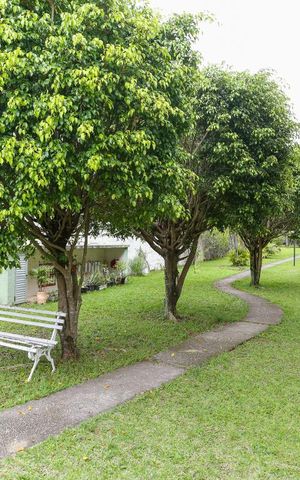 Apartamento para alugar com 94m², 3 quartos e 2 vagasPista de Caminhada