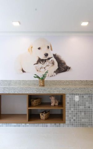Apartamento para alugar com 32m², 2 quartos e sem vagaEspaço Pet
