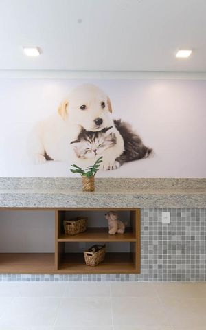 Apartamento para alugar com 32m², 2 quartos e sem vagaEspaço Pet