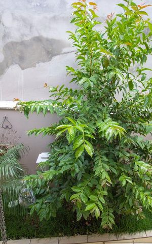 Casa à venda com 180m², 3 quartos e 2 vagasVista do quarto 2