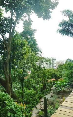 Casa à venda com 424m², 5 quartos e 4 vagasVista da Suíte 5