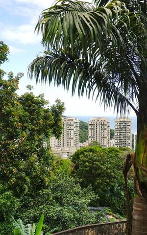 Casa à venda com 424m², 5 quartos e 4 vagasVista da Área Externa