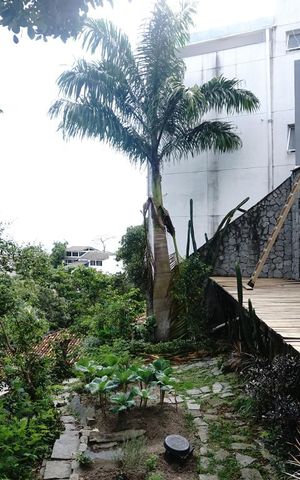 Casa à venda com 424m², 5 quartos e 4 vagasVista da Suíte 5
