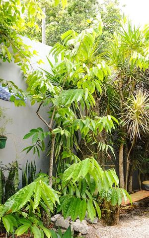 Casa à venda com 424m², 5 quartos e 4 vagasÁrea Externa - Jardim