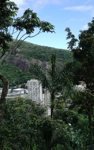 Casa à venda com 424m², 5 quartos e 4 vagasVista da Área Externa