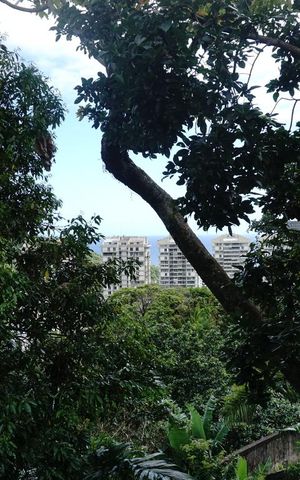 Casa à venda com 424m², 5 quartos e 4 vagasVista da Suíte 5