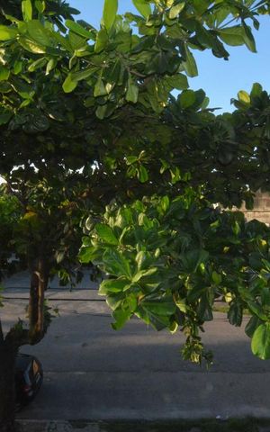 Apartamento à venda com 70m², 3 quartos e sem vagaVista do Quarto 1