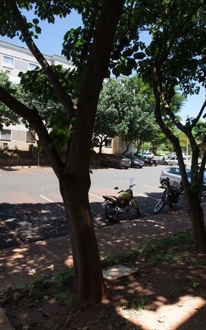 Apartamento para alugar com 49m², 2 quartos e 1 vagaVista da janela do quarto 1
