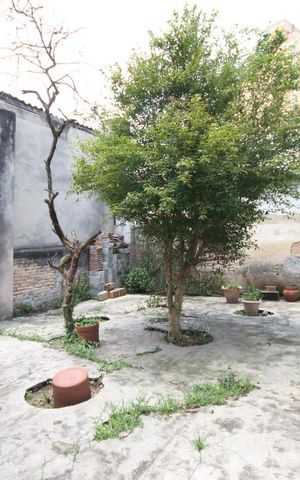 Casa à venda com 330m², 3 quartos e 8 vagasQuintal 2