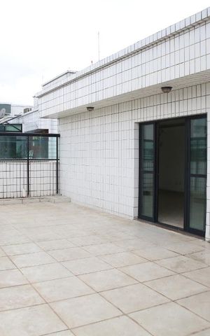 Apartamento para alugar com 256m², 4 quartos e 2 vagasArea Externa