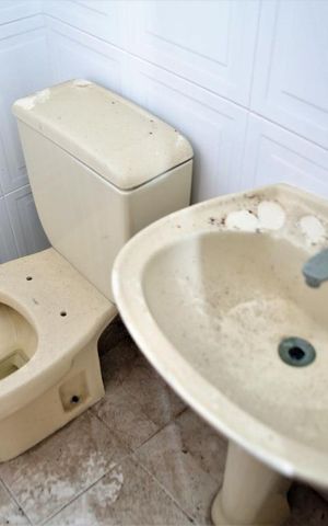 Apartamento para alugar com 256m², 4 quartos e 2 vagasBanheiro / Quarto / Empregada