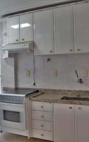 Apartamento para alugar com 256m², 4 quartos e 2 vagasCozinha - Armários