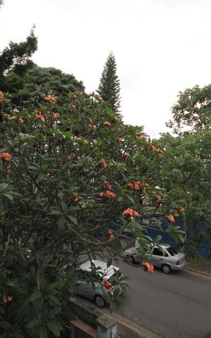 Casa à venda com 476m², 3 quartos e 3 vagasVista