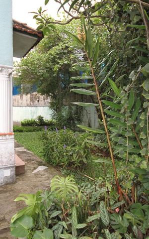 Casa à venda com 476m², 3 quartos e 3 vagasQuintal