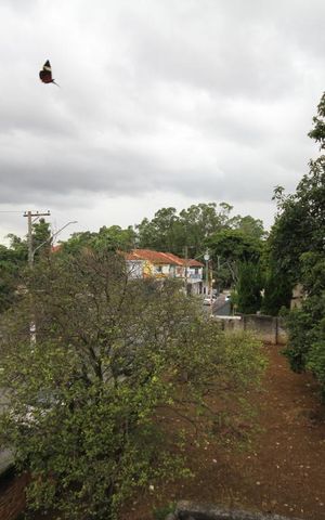 Casa à venda com 476m², 3 quartos e 3 vagasVista