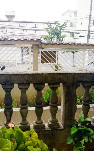 Apartamento para alugar com 48m², 2 quartos e 1 vagaVista do Quarto 1