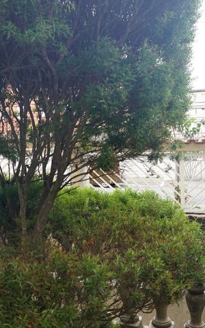 Apartamento para alugar com 48m², 2 quartos e 1 vagaVista do Quarto 2