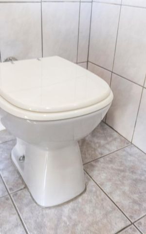 Casa à venda com 300m², 6 quartos e 4 vagasVaso