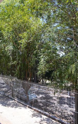 Casa à venda com 150m², 3 quartos e 3 vagasQuarto 1 - Vista