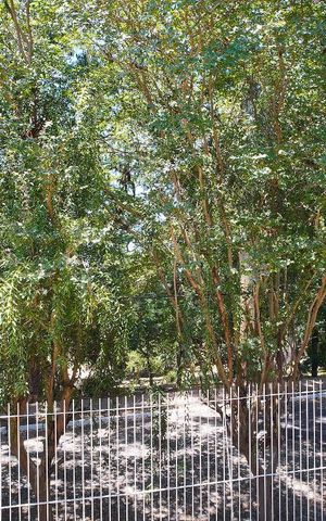 Casa à venda com 150m², 3 quartos e 3 vagasQuarto 2 - Vista