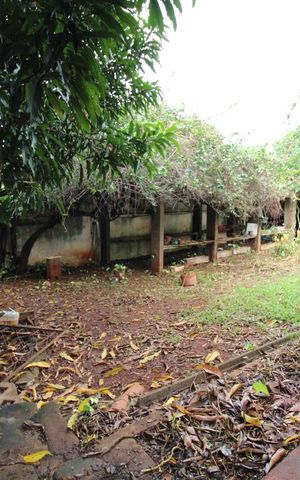 Casa à venda com 287m², 5 quartos e 6 vagasQuintal