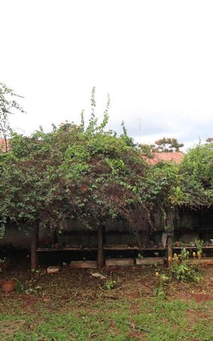 Casa à venda com 287m², 5 quartos e 6 vagasQuintal