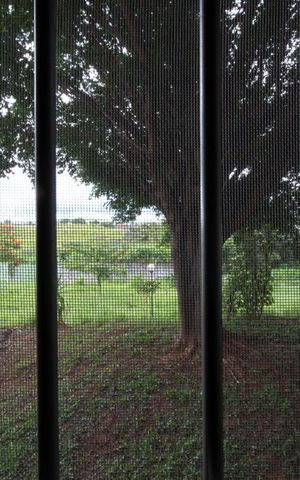 Apartamento à venda com 56m², 2 quartos e 1 vagaVista do Quarto 2