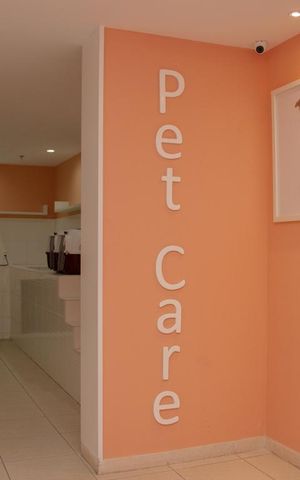 Apartamento para alugar com 64m², 2 quartos e 1 vagaPet Care