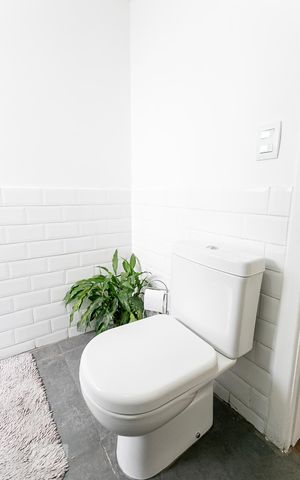 Apartamento para alugar com 62m², 2 quartos e 1 vaga Apartamento para alugar com 62m², 2 quartos e 1 vagaBanheiro