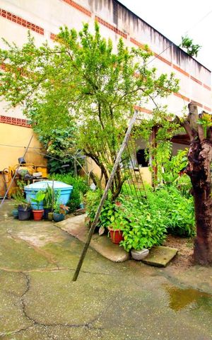 Casa à venda com 100m², 2 quartos e 10 vagasQuintal