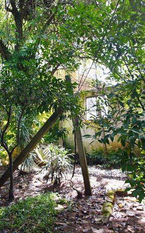Casa à venda com 280m², 3 quartos e 2 vagasPatio -fundos