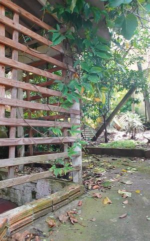 Casa à venda com 280m², 3 quartos e 2 vagasDetalhe da area de serviço