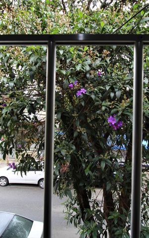 Casa à venda com 120m², 2 quartos e sem vagaVista do quarto 1 
