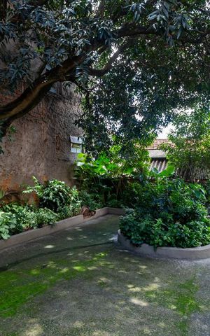 Casa à venda com 404m², 2 quartos e 3 vagas Casa à venda com 404m², 2 quartos e 3 vagasQuintal