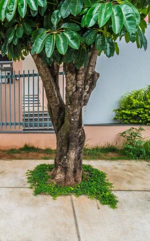 Apartamento para alugar com 70m², 2 quartos e 2 vagasFachada