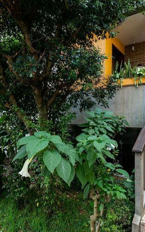 Casa à venda com 350m², 3 quartos e 4 vagasJardim / Entrada