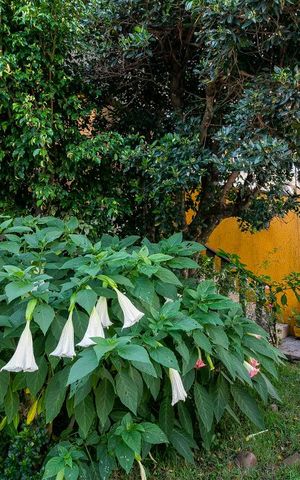 Casa à venda com 350m², 3 quartos e 4 vagasFachada
