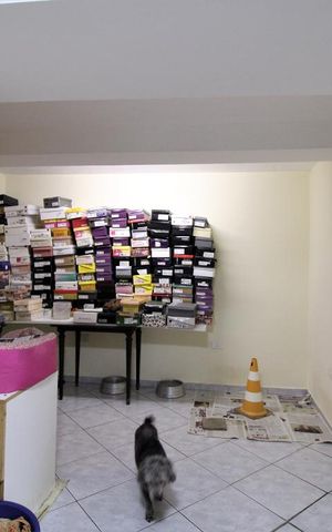 Casa à venda com 347m², 4 quartos e 3 vagasQuarto 2 - Subsolo