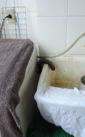 Apartamento para alugar com 64m², 2 quartos e sem vagaArea de Servico